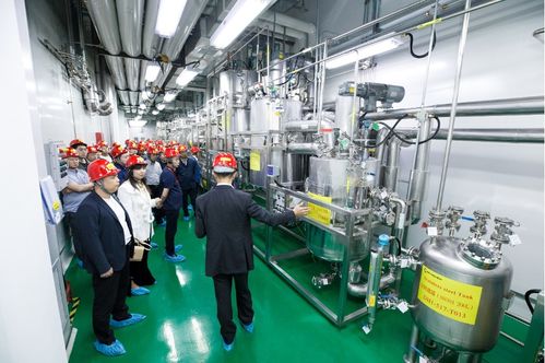 連續(xù)賦能，技術(shù)變現(xiàn) 連續(xù)流技術(shù)推廣現(xiàn)場(chǎng)會(huì)在敦化成功召開